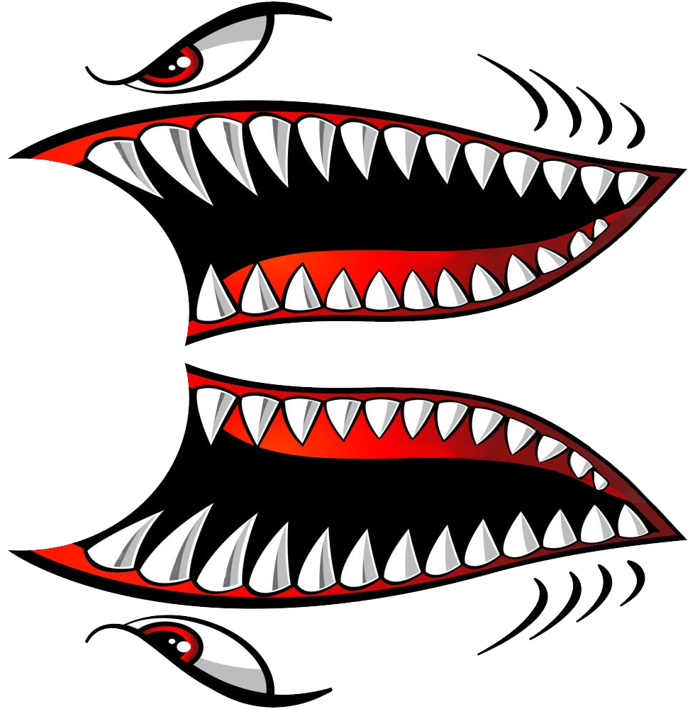 Shark Teeth 5